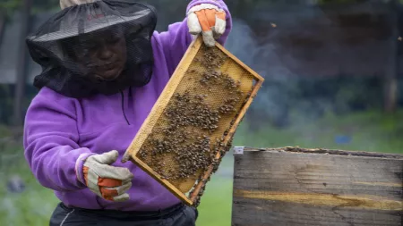 A beekeeper and honey producer from Guatemala