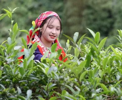 Woman wearing patterned scarf standing amid plantation